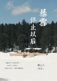 2020.11.19暴雪会持续多久能停