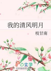 清风明月偷我心是哪一集