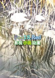 北风吹的全集