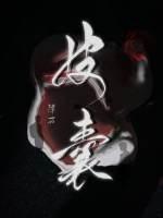 皮囊第四季