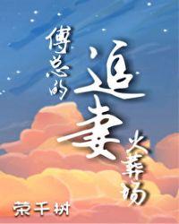 免费阅读傅总追妻火葬场