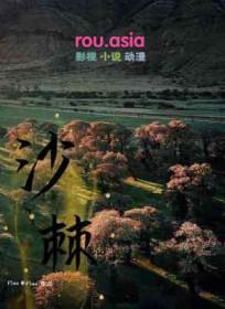 沙棘果浆有什么作用