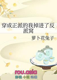 穿成反派怎么办