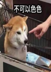 穿成年代文的恶毒女配青丝不负