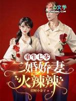 重生70之二婚