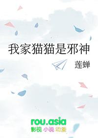 我家的猫是