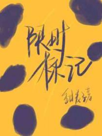 限时标记by甜麦子
