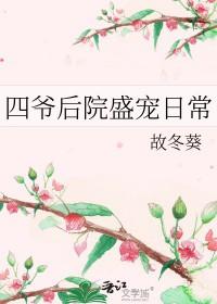 好看的穿越四爷后院的