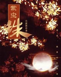 蒙尘珠泰国电视剧5