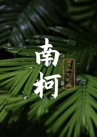 南柯txt在线阅读