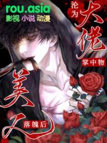 美人落魄后沦为大佬掌中物by