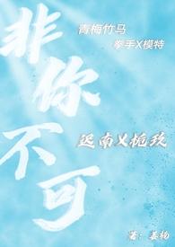 非你不可全文阅读小轻轻