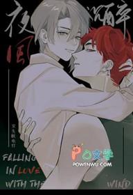 夜风微醺是什么意思