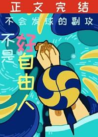 排球少年 主攻