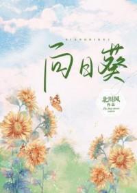 向日葵花语是啥