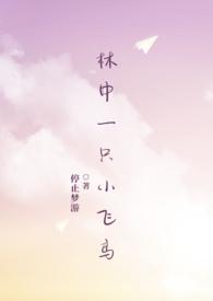 林中鸟菲儿