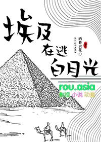 在埃及工作