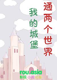 我的世界40×40城堡