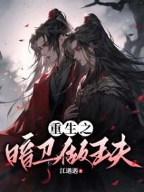 重生之暗卫做王夫免费28章在线阅读