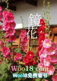镜花全文百合