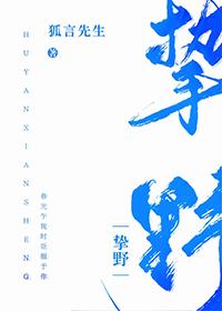 挚野丁墨晋江