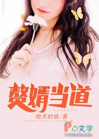 赘婿当道言情中文网