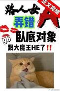 路人女a弄错卧底对象了番外txt