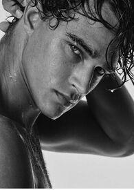 动物世界 原著