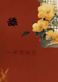 心脏造影act
