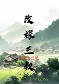 改嫁三叔txt百度