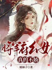 将军系列之将军府的女婿