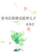 穿书后我替反派养儿子 木舟行