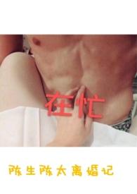 陈生陈太离婚记海棠