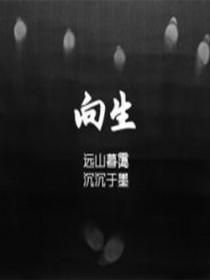 向生正版免费阅读全文