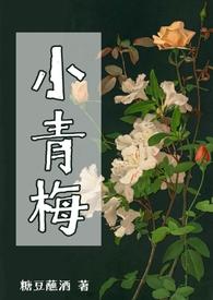 小青梅全文免费阅读txt