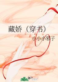 藏娇(穿书)作者小小小邪子