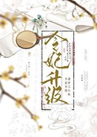 清穿之令贵妃晋升记格格党