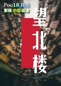望北楼电视剧