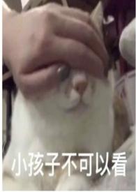 圈养蔷薇(纯百骨科np)橘子灯灯