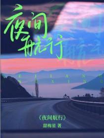 夜间的航班