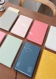 日记100字可抄