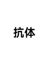 抗体定制