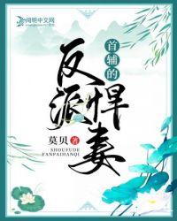 首辅大人悍妻当道