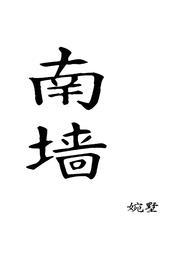 南墙txt知安