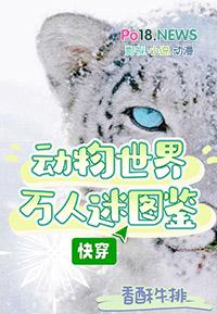 动物i世界