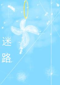 迷路是谁的作品