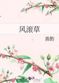 风滚草镇位置