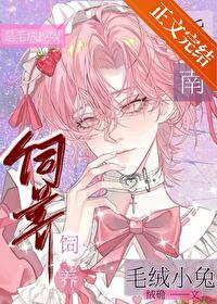 毛绒兔子diy
