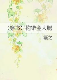 抱错金大腿 作者瀛之