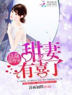 总裁强势宠老婆甜甜的